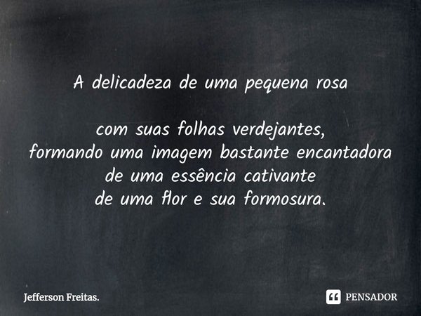 A delicadeza de uma pequena rosa
com suas folhas verdejantes,
formando uma imagem bastante encantadora
de uma essência cativante
de uma flor e sua formosura.... Frase de Jefferson Freitas..