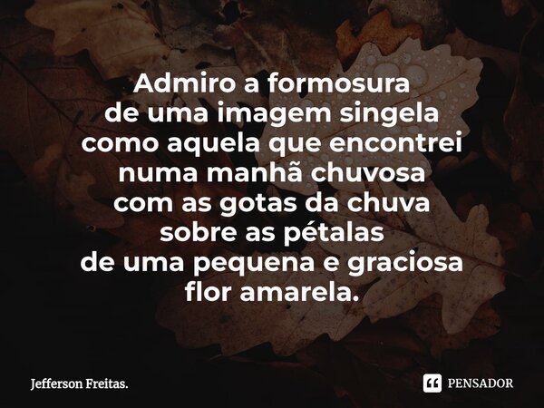 ⁠Admiro a formosura de uma imagem singela como aquela que encontrei numa manhã chuvosa com as gotas da chuva sobreas pétalas de uma pequena e graciosa flor amar... Frase de Jefferson Freitas..