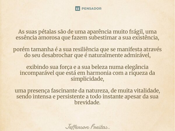 As suas pétalas são de uma aparência muito frágil, uma essência amorosa que fazem subestimar a sua existência, porém tamanha é a sua resiliência que se manife... Frase de Jefferson Freitas..