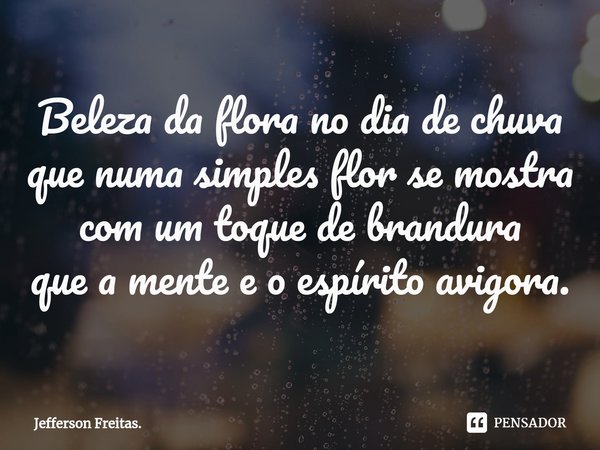 ⁠⁠Beleza da flora no dia de chuva que numa simples flor se mostra com um toque de brandura que a mente e o espírito avigora.... Frase de Jefferson Freitas..