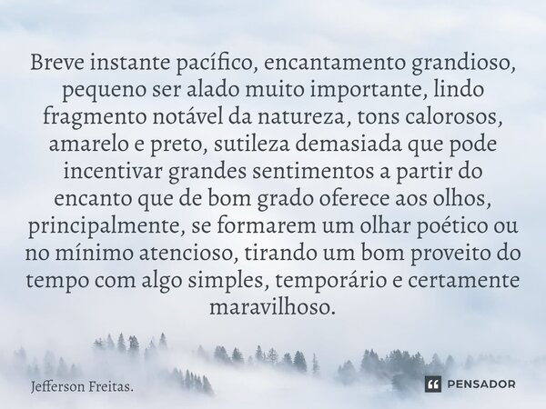 ⁠⁠Breve instante pacífico, encantamento grandioso, pequeno ser alado muito importante, lindo fragmento notável da natureza, tons calorosos, amarelo e preto, sut... Frase de Jefferson Freitas..