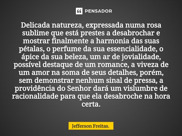 ⁠Delicada natureza, expressada numa rosa sublime que está prestes a desabrochar e mostrar finalmente a harmonia das suas pétalas, o perfume da sua essencialidad... Frase de Jefferson Freitas..