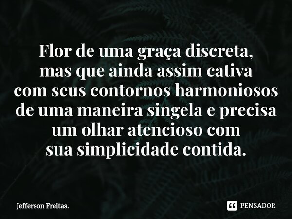 ⁠Flor de uma graça discreta, mas que ainda assim cativa com seus contornos harmoniosos de uma maneira singela e precisa um olhar atencioso com sua simplicidade ... Frase de Jefferson Freitas..