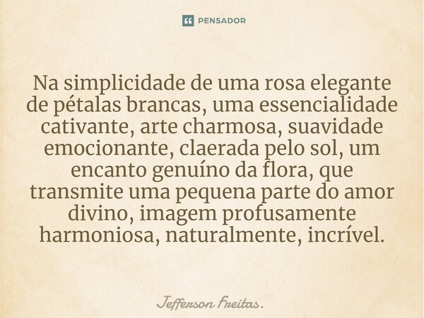 ⁠⁠⁠Na simplicidade de uma rosa elegante de pétalas brancas, uma essencialidade cativante, arte charmosa, suavidade emocionante, claerada pelo sol, um encanto ge... Frase de Jefferson Freitas..