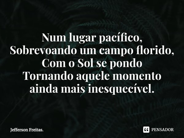 Num lugar pacífico,
Sobrevoando um campo florido,
Com o Sol se pondo
Tornando aquele momento
ainda mais inesquecível.... Frase de Jefferson Freitas..