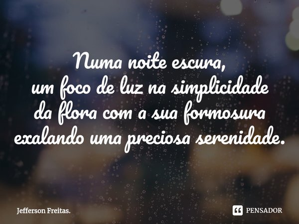 ⁠Numa noite escura, um foco de luz na simplicidade da flora com a sua formosura exalando uma preciosa serenidade.... Frase de Jefferson Freitas..