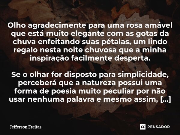 Olho agradecimente para uma ⁠rosa amável que está muito elegante com as gotas da chuva enfeitando suas pétalas, um lindo regalo nesta noite chuvosa que a minha ... Frase de Jefferson Freitas..