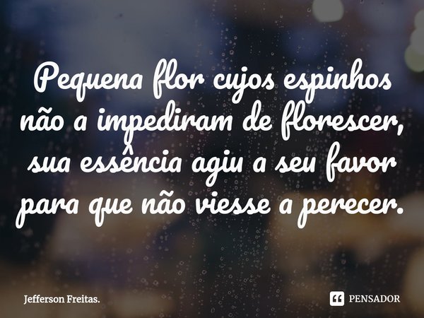 ⁠Pequena flor cujos espinhos
não a impediram de florescer,
sua essência agiu a seu favor
para que não viesse a perecer.... Frase de Jefferson Freitas..