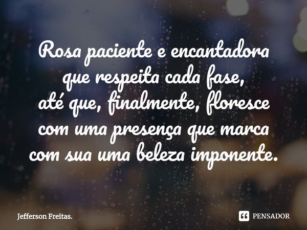 ⁠Rosa paciente e encantadora
que respeita cada fase,
até que, finalmente, floresce
com uma presença que marca
com sua uma beleza imponente.... Frase de Jefferson Freitas..