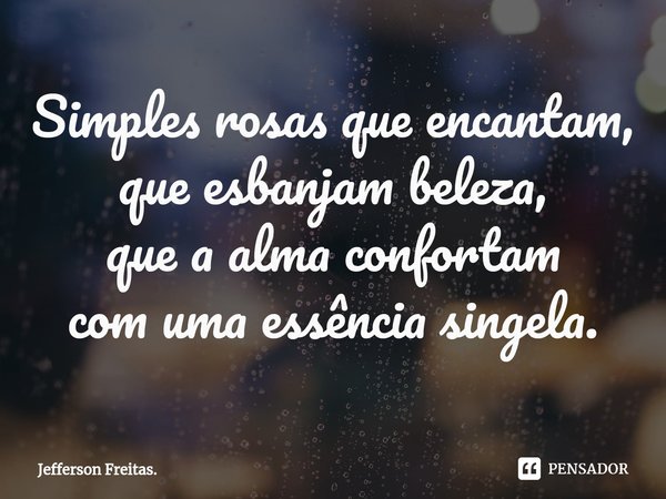 ⁠Simples rosas que encantam, que esbanjam beleza, que a alma confortam com uma essência singela.... Frase de Jefferson Freitas..