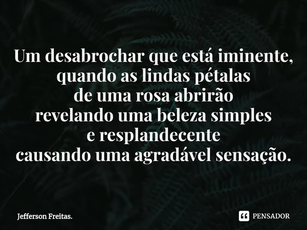 ⁠Um desabrochar que está iminente, quando as lindas pétalas de uma rosa abrirão revelando uma beleza simples e resplandecente causando uma agradável sensação.... Frase de Jefferson Freitas..