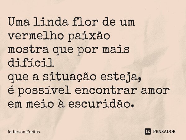 ⁠Uma linda flor de um vermelho paixão mostra que por mais difícil que a situação esteja, é possível encontrar amor em meio à escuridão.... Frase de Jefferson Freitas..