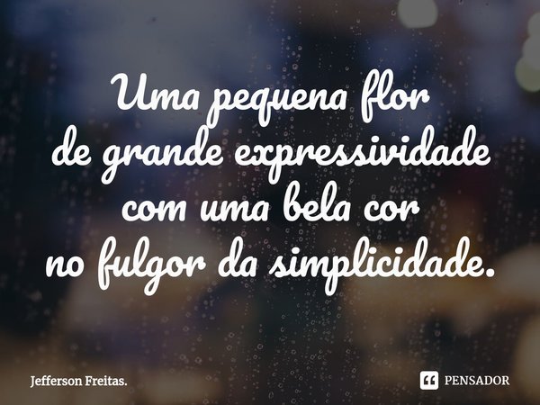 ⁠Uma pequena flor de grande expressividade com uma bela cor no fulgor da simplicidade.... Frase de Jefferson Freitas..