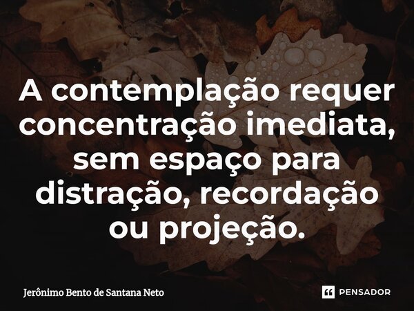 A contemplação requer concentração imediata, sem espaço para distração, recordação ou projeção.... Frase de Jerônimo Bento de Santana Neto.