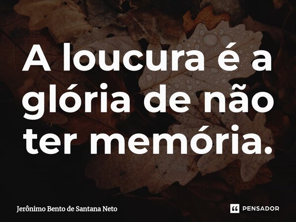 A loucura é a glória de não ter memória.... Frase de Jerônimo Bento de Santana Neto.
