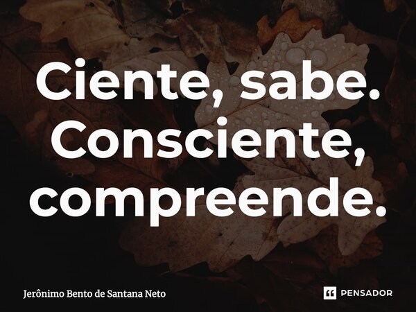 ⁠Ciente, sabe. Consciente, compreende.... Frase de Jerônimo Bento de Santana Neto.