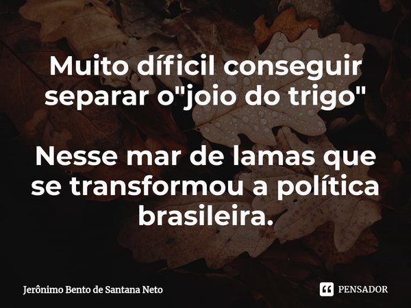 ⁠Muito díficil conseguir separar o "joio do trigo" Nesse mar de lamas que se transformou a política brasileira.... Frase de Jerônimo Bento de Santana Neto.
