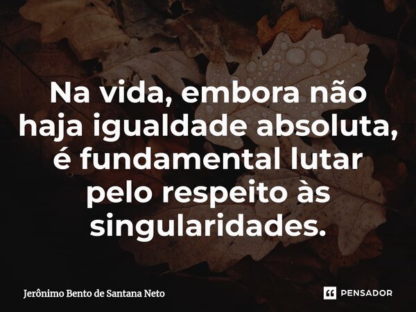 ⁠Na vida, embora não haja igualdade absoluta, é fundamental lutar pelo respeito às singularidades.... Frase de Jerônimo Bento de Santana Neto.