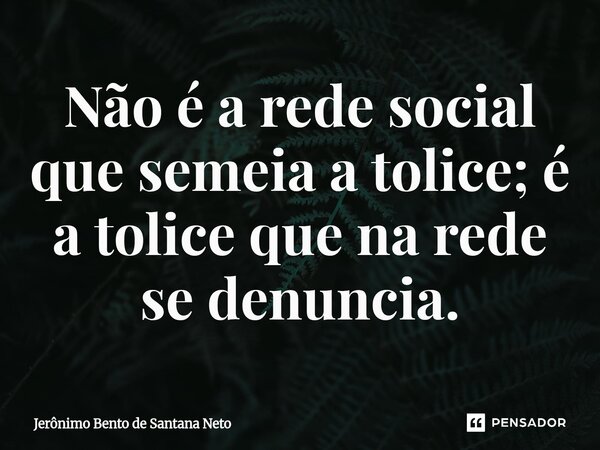 ⁠Não é a rede social que semeia a tolice; é a tolice que na rede se denuncia.... Frase de Jerônimo Bento de Santana Neto.