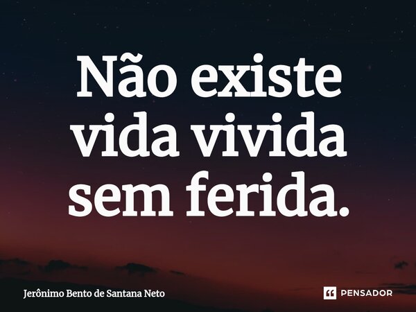 Não existe vida vivida sem ferida.... Frase de Jerônimo Bento de Santana Neto.
