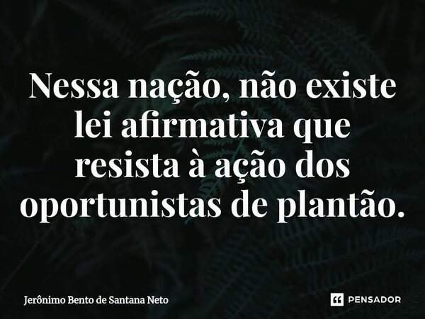⁠⁠Nessa nação, não existe lei afirmativa que resista à ação dos oportunistas de plantão.... Frase de Jerônimo Bento de Santana Neto.