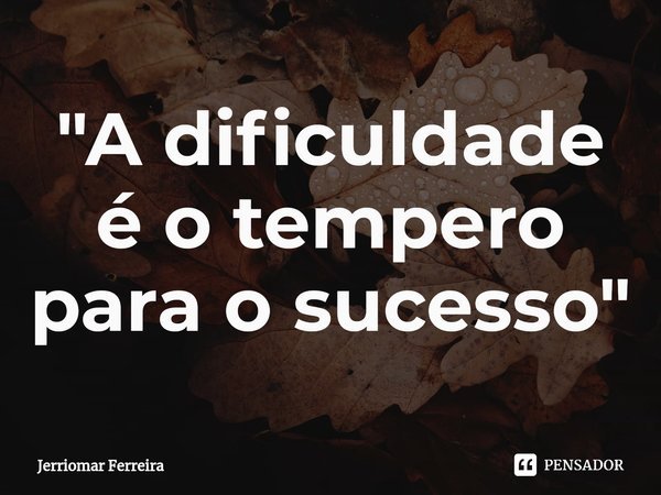 ⁠"A dificuldade é o tempero para o sucesso"... Frase de Jerriomar Ferreira.