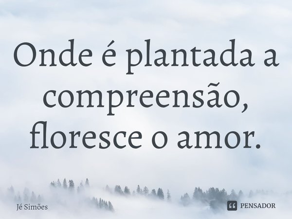 ⁠Onde é plantada a compreensão, floresce o amor.... Frase de Jé Simões.