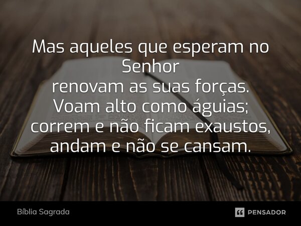 Mas aqueles que esperam no Senhor renovam as suas forças. Voam alto como águias; correm e não ficam exaustos, andam e não se cansam.... Frase de Bíblia Sagrada.