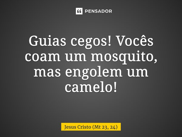 ⁠Guias cegos! Vocês coam um mosquito, mas engolem um camelo!... Frase de Jesus Cristo (Mt 23, 24).