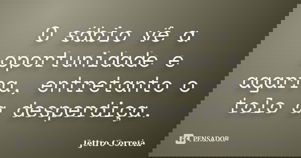 O sábio vê a oportunidade e agarra, entretanto o tolo a desperdiça.... Frase de Jettro Correia.