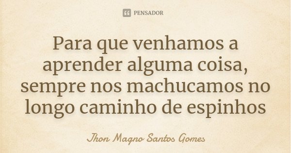 Para que venhamos a aprender alguma coisa, sempre nos machucamos no longo caminho de espinhos... Frase de Jhon Magno Santos Gomes.