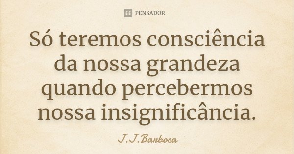 Só teremos consciência da nossa grandeza quando percebermos nossa insignificância.... Frase de J J Barbosa.