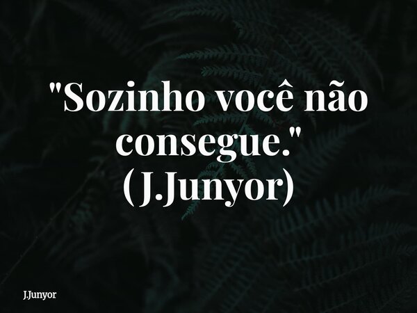 "Sozinho você não consegue." (J.Junyor)... Frase de J.Junyor.
