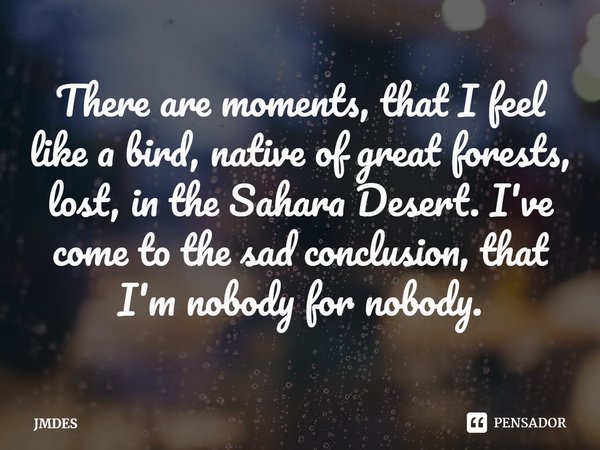 ⁠There are moments, that I feel like a bird, native of great forests, lost, in the Sahara Desert. I've come to the sad conclusion, that I'm nobody for nobody.... Frase de JMDES.