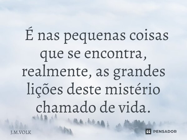 ⁠ É nas pequenas coisas que se encontra, realmente, as grandes lições deste mistério chamado de vida.... Frase de J.M.VOLK.