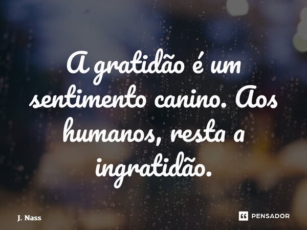 ⁠A gratidão é um sentimento canino. Aos humanos, resta a ingratidão.... Frase de J. Nassaralla.