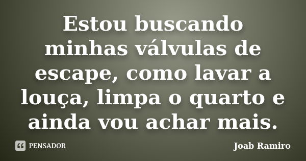 Estou buscando minhas válvulas de escape, como lavar a louça, limpa o quarto e ainda vou achar mais.... Frase de Joab Ramiro.