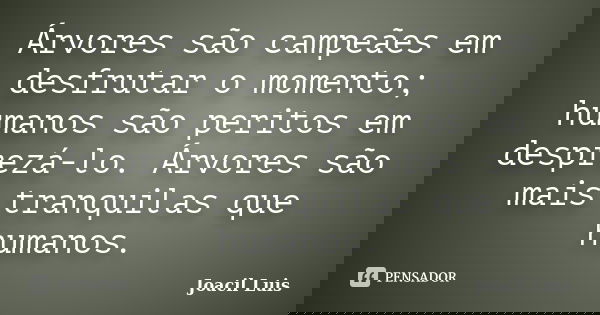 Árvores são campeães em desfrutar o momento; humanos são peritos em desprezá-lo. Árvores são mais tranquilas que humanos.... Frase de Joacil Luis.