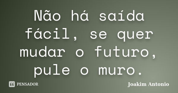 Não há saída fácil, se quer mudar o futuro, pule o muro.... Frase de Joakim Antonio.