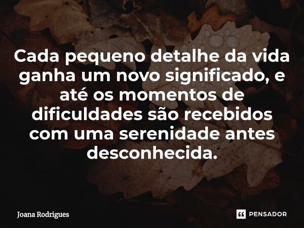 ⁠Cada pequeno detalhe da vida ganha um novo significado, e até os momentos de dificuldades são recebidos com uma serenidade antes desconhecida.... Frase de Joana Rodrigues.