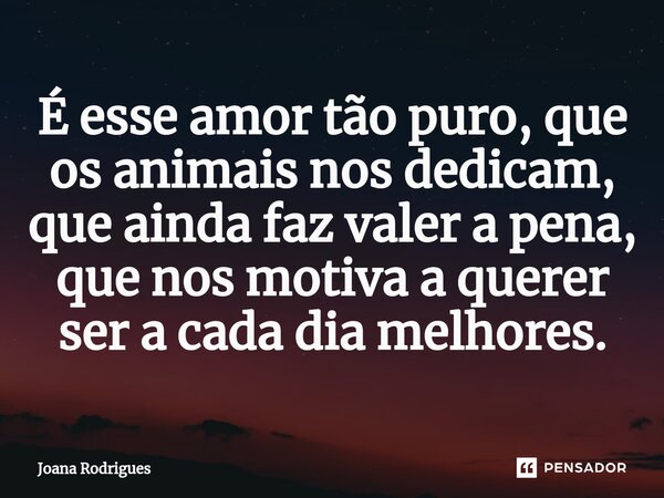 ⁠É esse amor tão puro, que os animais nos dedicam, que ainda faz valer a pena, que nos motiva a querer ser a cada dia melhores.... Frase de Joana Rodrigues.