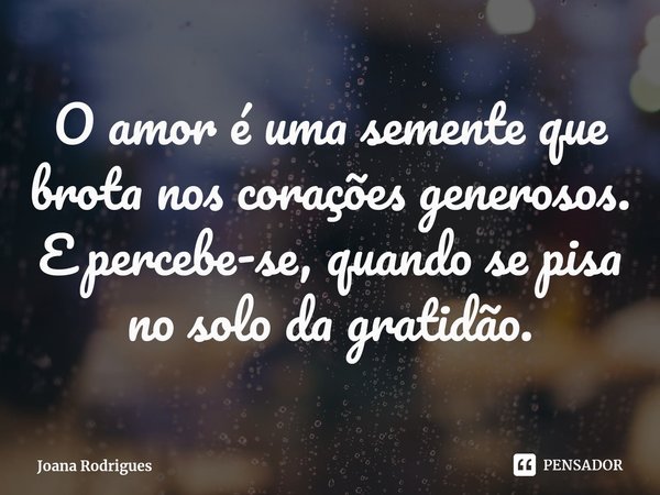 O amor é uma semente que brota nos corações generosos. E percebe-se, quando se pisa no solo da gratidão.⁠... Frase de Joana Rodrigues.
