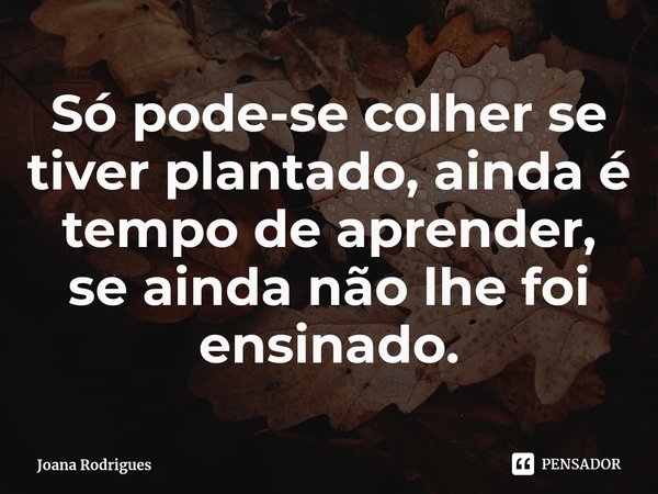 ⁠Só pode-se colher se tiver plantado, ainda é tempo de aprender, se ainda não lhe foi ensinado.... Frase de Joana Rodrigues.