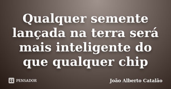 Qualquer semente lançada na terra será mais inteligente do que qualquer chip... Frase de João Alberto Catalão.