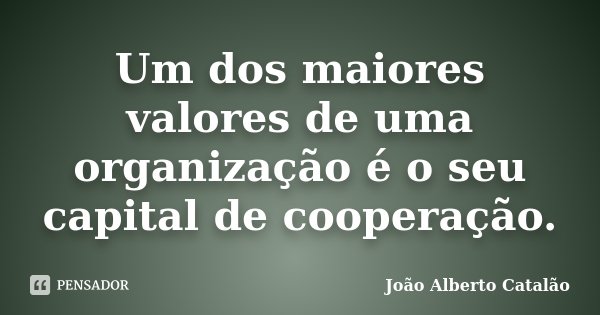 Um dos maiores valores de uma organização é o seu capital de cooperação.... Frase de João Alberto Catalão.