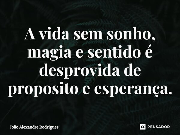 ⁠A vida sem sonho, magia e sentido é desprovida de proposito e esperança.... Frase de Joao Alexandre Rodrigues.