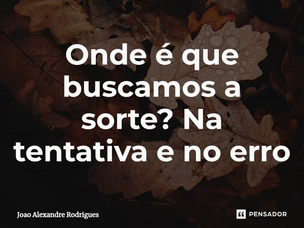 ⁠Onde é que buscamos a sorte? Na tentativa e no erro... Frase de Joao Alexandre Rodrigues.
