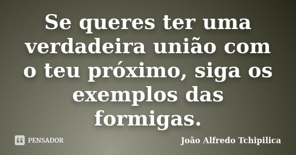 Se queres ter uma verdadeira união com o teu próximo, siga os exemplos das formigas.... Frase de João Alfredo Tchipilica.