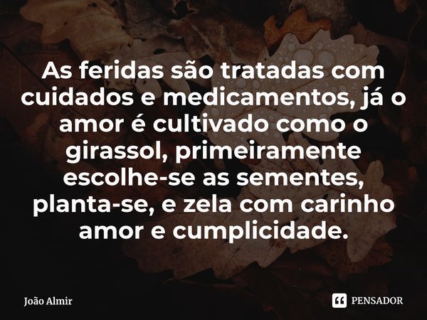 ⁠As feridas são tratadas com cuidados e medicamentos, já o amor é cultivado como o girassol, primeiramente escolhe-se as sementes, planta-se, e zela com carinho... Frase de João Almir.