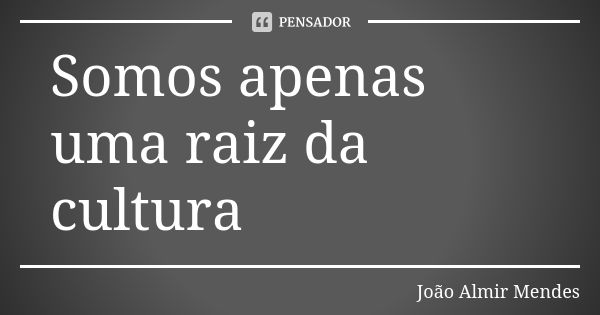 Somos apenas uma raiz da cultura... Frase de João Almir Mendes.